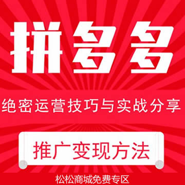 《拼多多推广变现课程》30节课程完整版