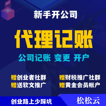 公司财税代理记账服务